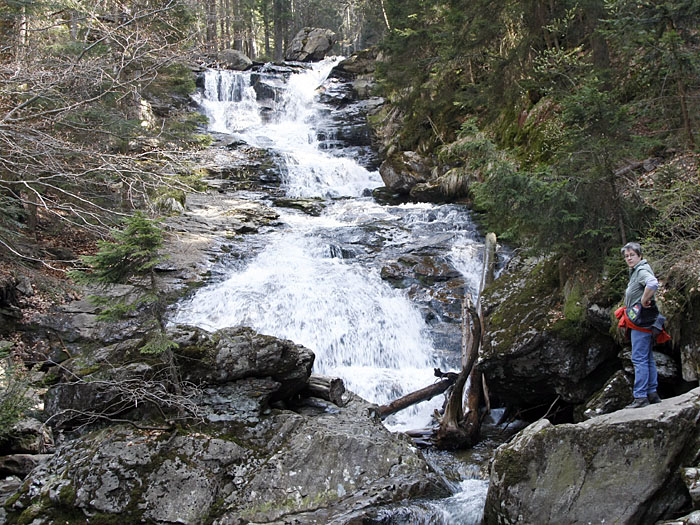 Bei den Rieslochfällen