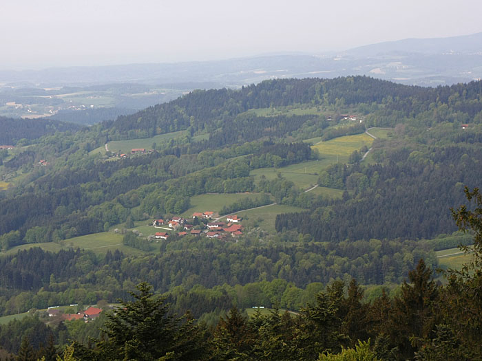 Ausblick auf den Bayerischen Wald