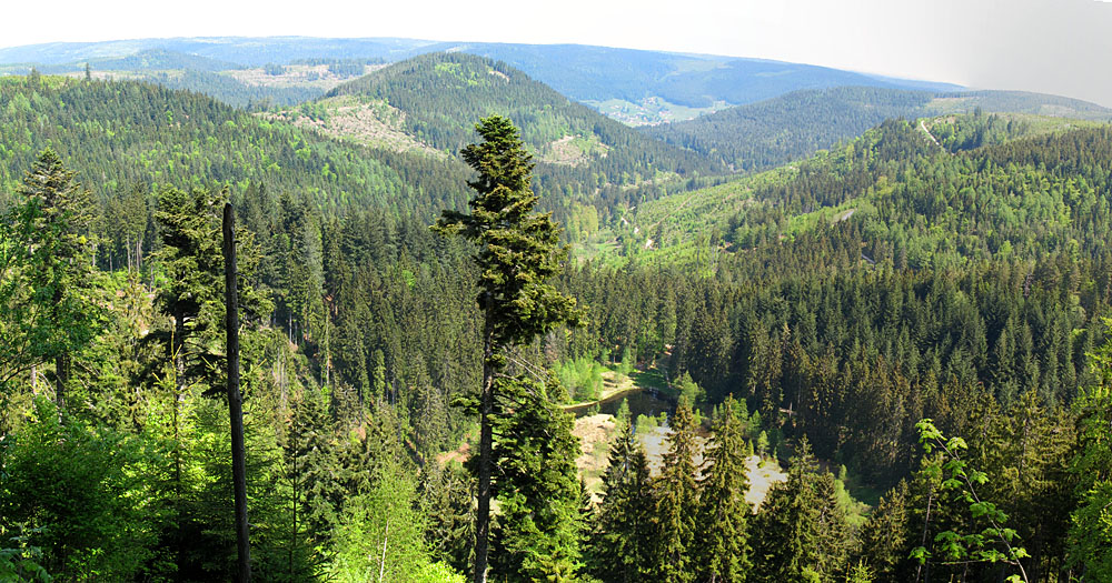 Aussicht vom Ellbachseeblick