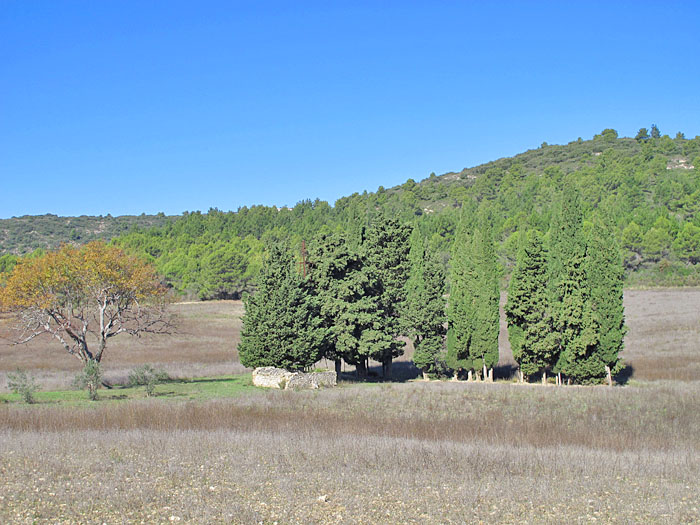 Verfallenes Haus