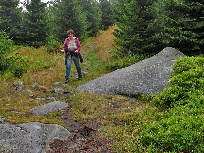 Abstieg ins Tal