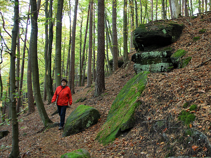 Weiter geht es durch den "dunklen" Wald