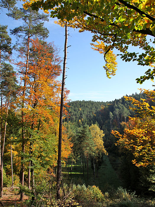 Etwas buntes Herbstlaub