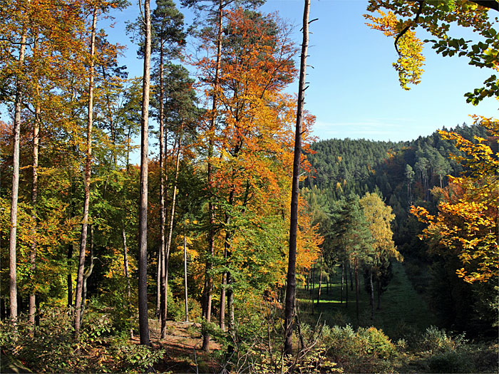 Buntes Herbstlaub
