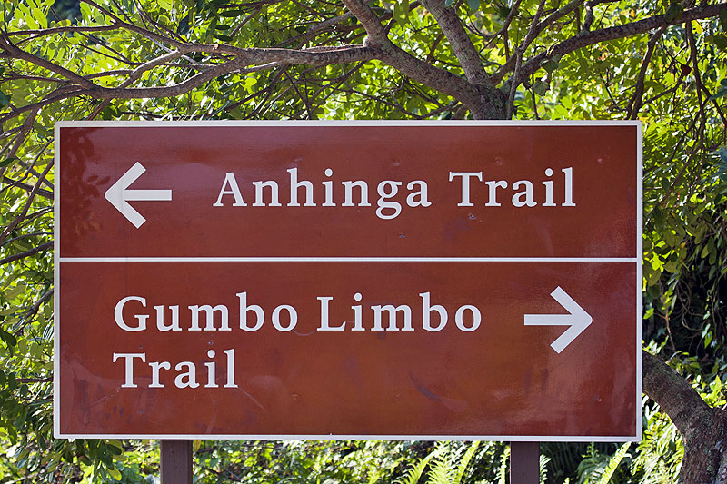 Wir laufen zuerst den Anhinga-, später auch den Gumbo Limbo Trail