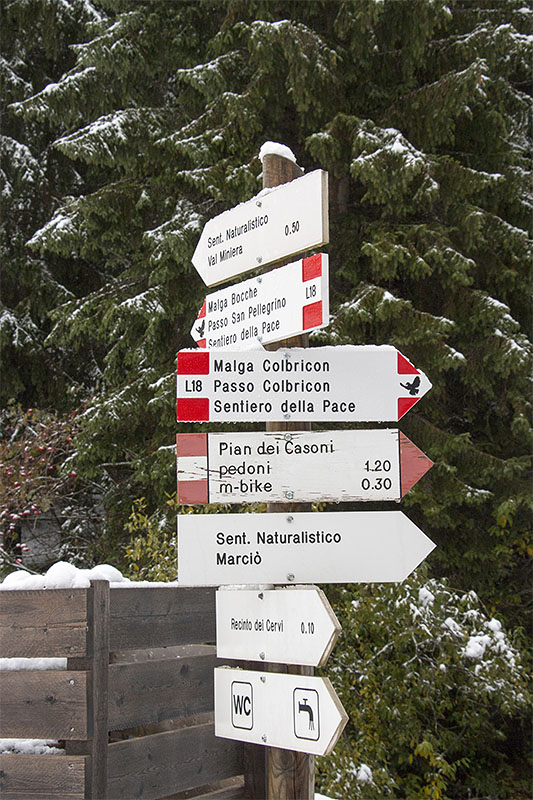 Wir laufen zun&auml;chst Richtung Malga Colbricon