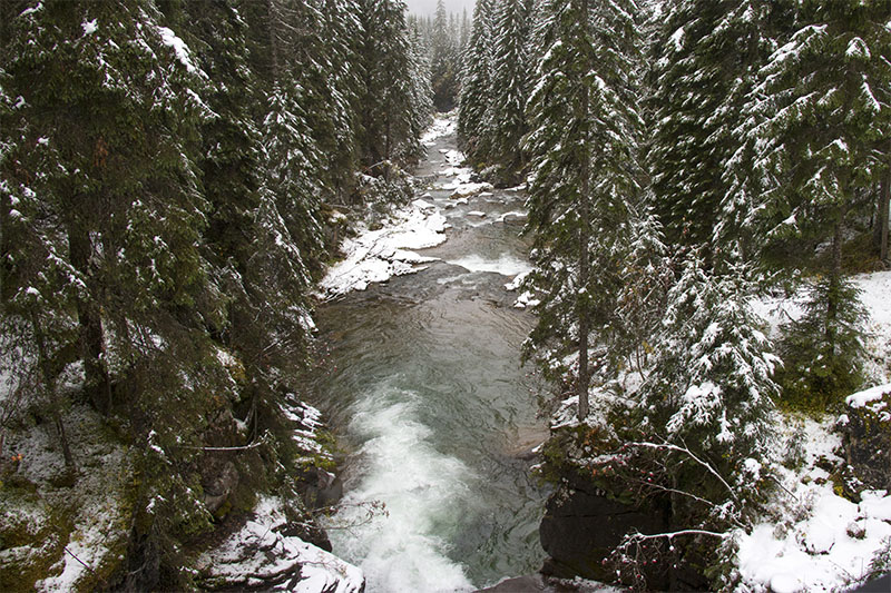 Da m&ouml;chten wir jetzt nicht baden gehen ;-)