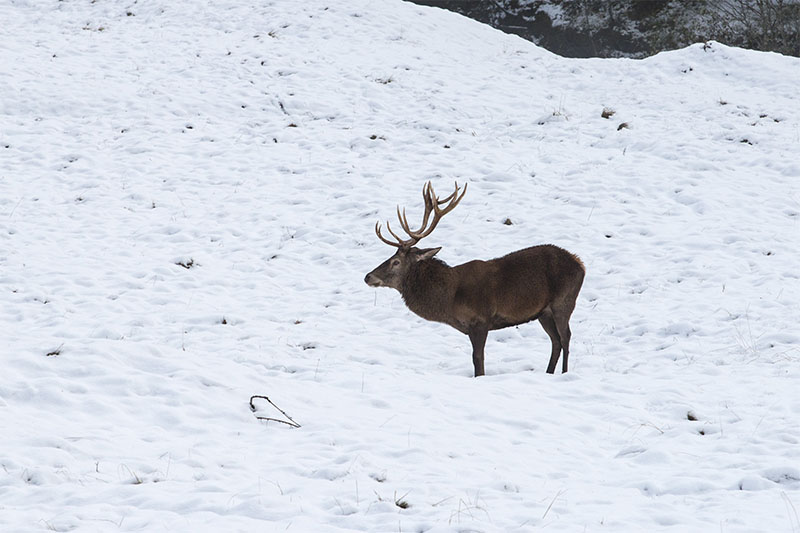 Dem ist sicher auch kalt