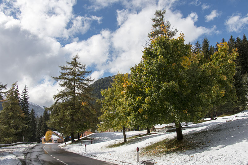 ... und der Schnee taut von den B&auml;umen