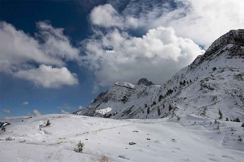 Wei&szlig; und blau, die bayrischen Farben ;-)