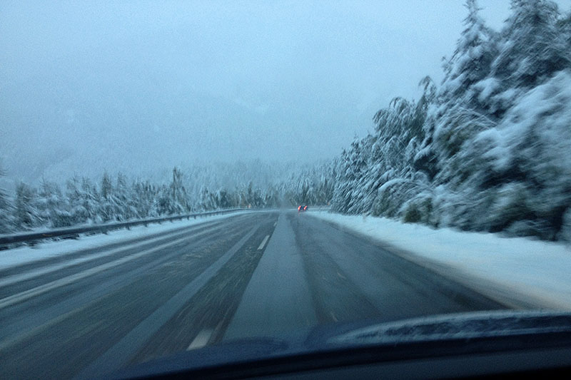 Schneechaos in &Ouml;sterreich umgest&uuml;rzte B&auml;ume behinderten den Verkehr ...