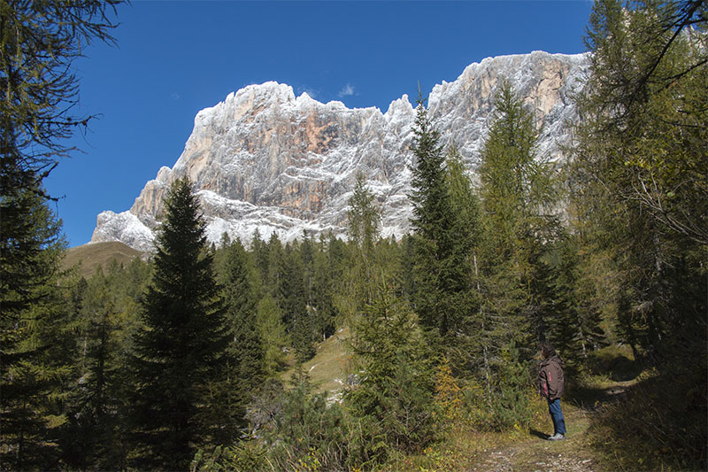 Einfach nur sch&ouml;n