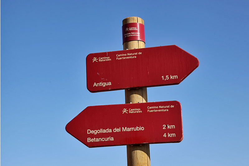 Nur noch vier Kilometer bis zum Zwischenziel