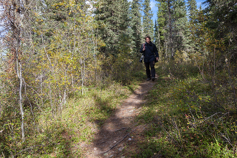 Auf einem Waldweg laufen wir zum Graveyard Lake