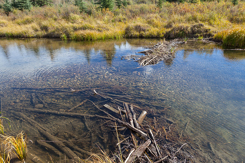 ... leider zerst&ouml;rt