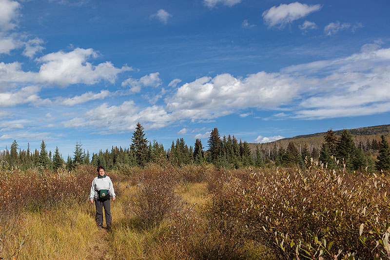 Wanderung durch die Marschlandschaft