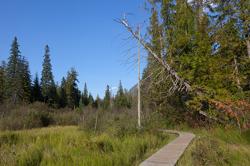 Durch die Holzstege kommt man trockenen Fu&szlig;es &uuml;ber den Trail