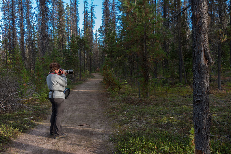 Vroni auf der Pirsch ...