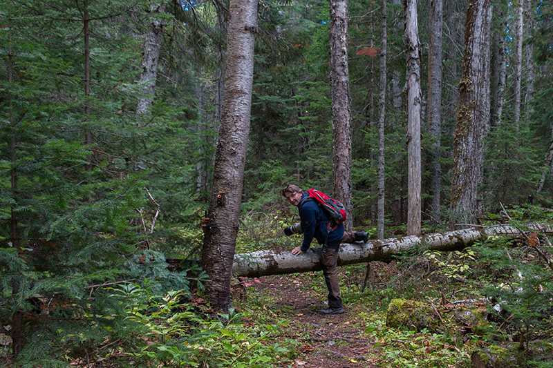 Manchmal ist der Weg ...