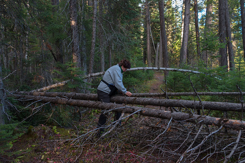 ... nicht ganz einfach ;-)