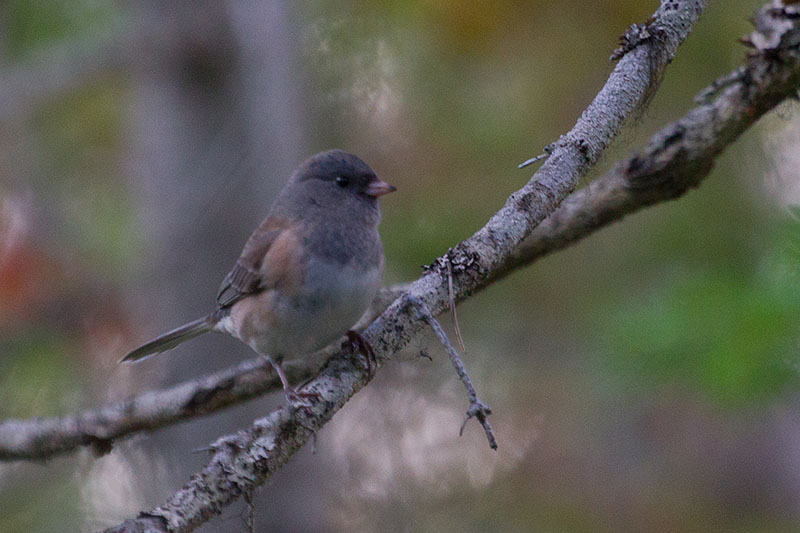 ... nach kleinen ...