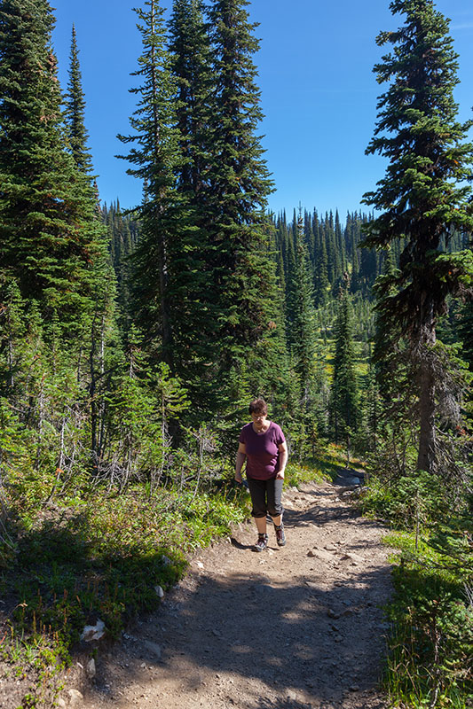 Der Firehouse Trail f&uuml;hrt zun&auml;chst ein ganzes St&uuml;ck bergauf