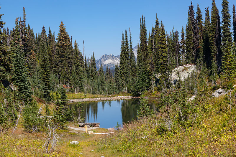 Sch&ouml;ner Teich ...
