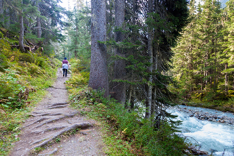 Auf dem Great Glacier Trail