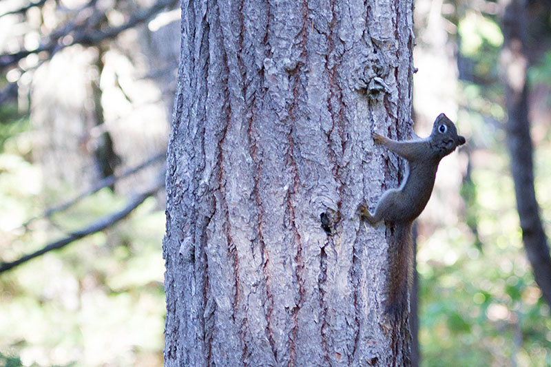 ... treffen wir auf gef&auml;hrliche Kreaturen ;-)