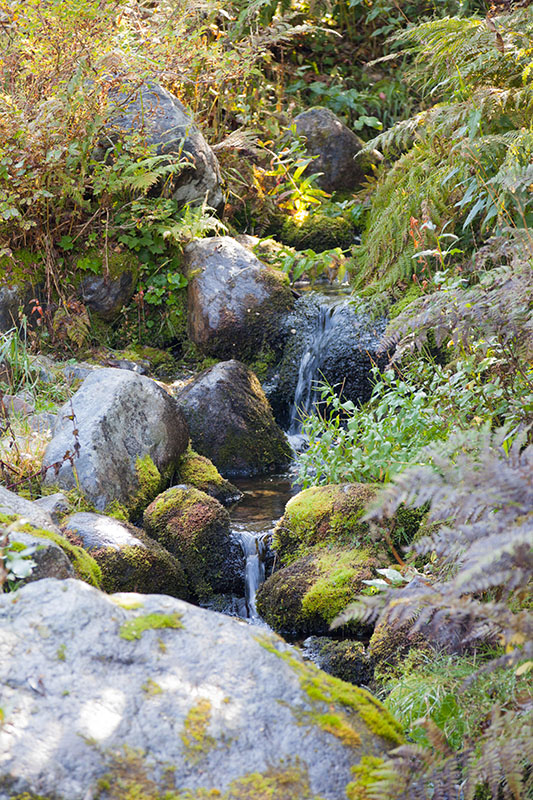 Auch kleinere "Fl&uuml;sse" gibt es hier ;-)