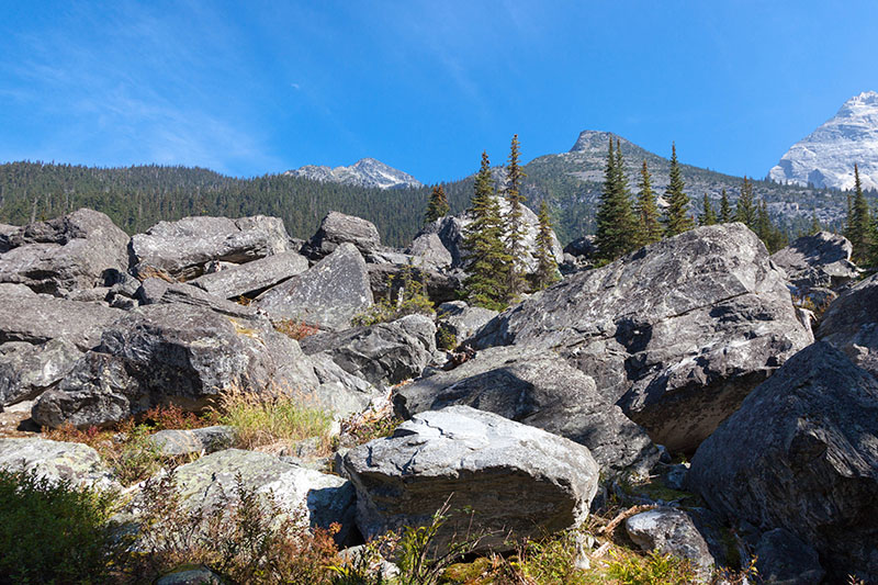 ... hingeworfen und vergessen