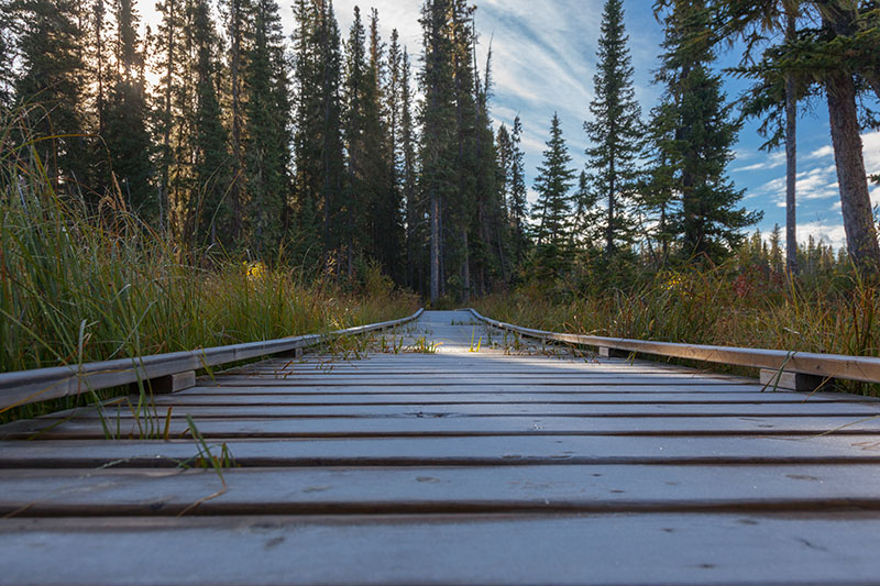 Raureif auf der Holzbr&uuml;cke