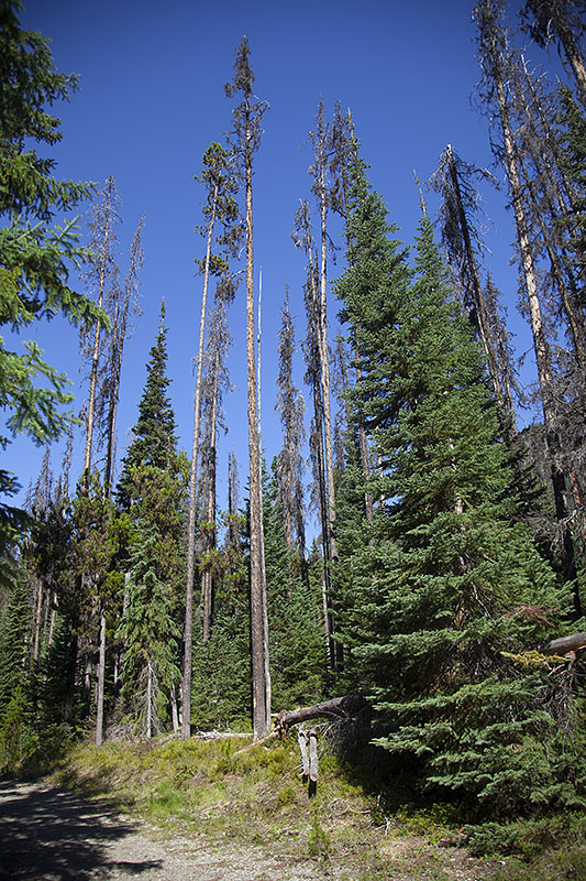 Blauer Himmel und an die 30&deg;C