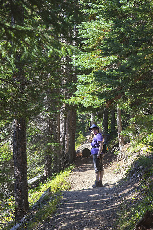 Ab durch den dunklen, b&auml;renverseuchten Wald ...