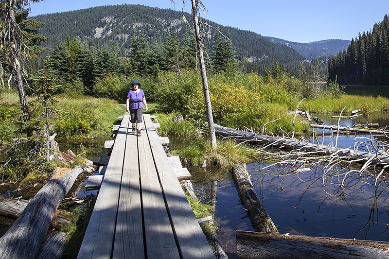 Feuchte Stellen werden dankenswerterweise &uuml;berbr&uuml;ckt