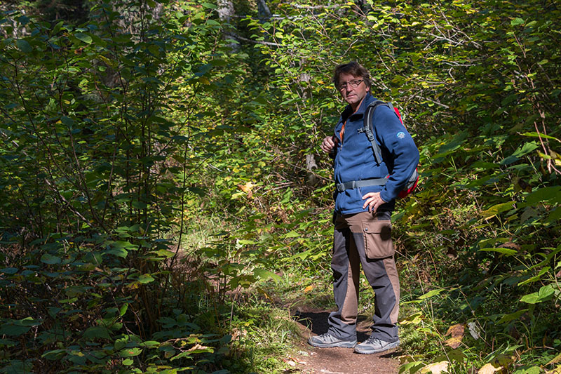 Ab durch das Gestr&uuml;pp