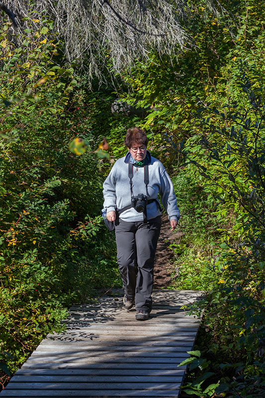 Vroni auf dem Holzweg ;-)