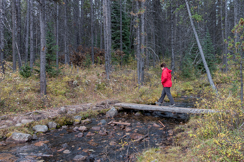 Auf dem Moose Lake Trail