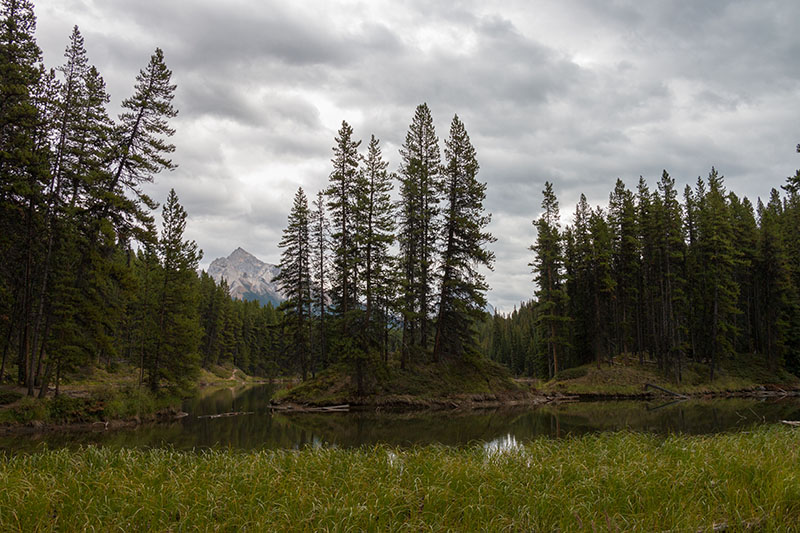 Ein kleiner See neben dem Moose Lake 2