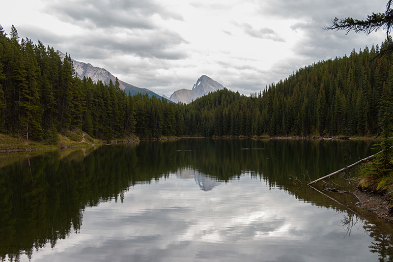 Ein kleiner See neben dem Moose Lake 3