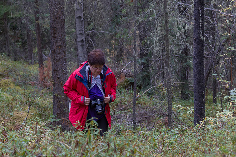 Auf der Pirsch durch den Wald