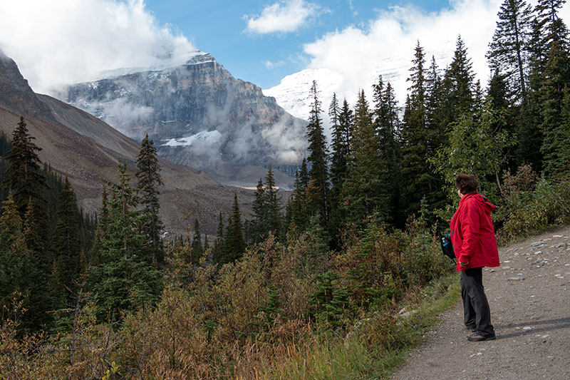 Auf dem Weg kommen wir ...