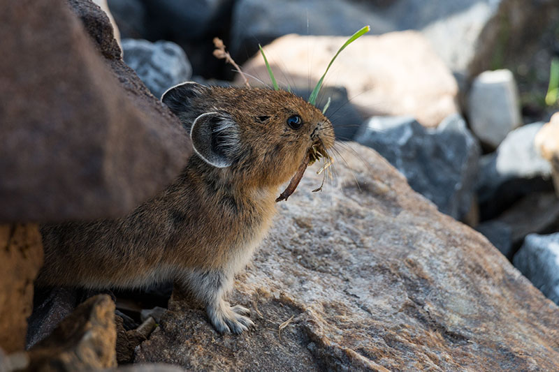 ... und lassen sich von uns kaum st&ouml;ren