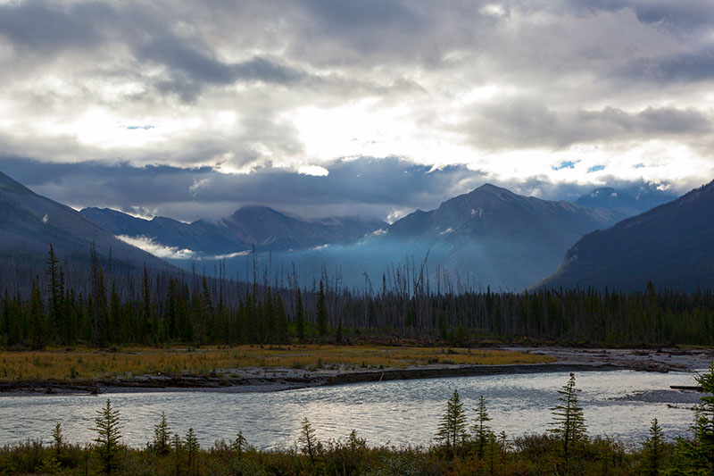 ... und &uuml;ber den W&auml;ldern