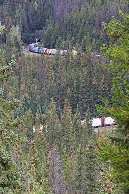 ... k&ouml;nnen die Z&uuml;ge auf kurzem Wege viele H&ouml;henmeter &uuml;berwinden. Auf dem Bild ist ein einziger Zug in zwei Tunnel