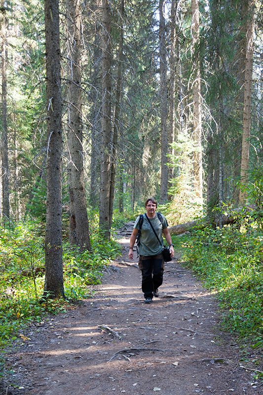 Weg zu den Wapta Falls