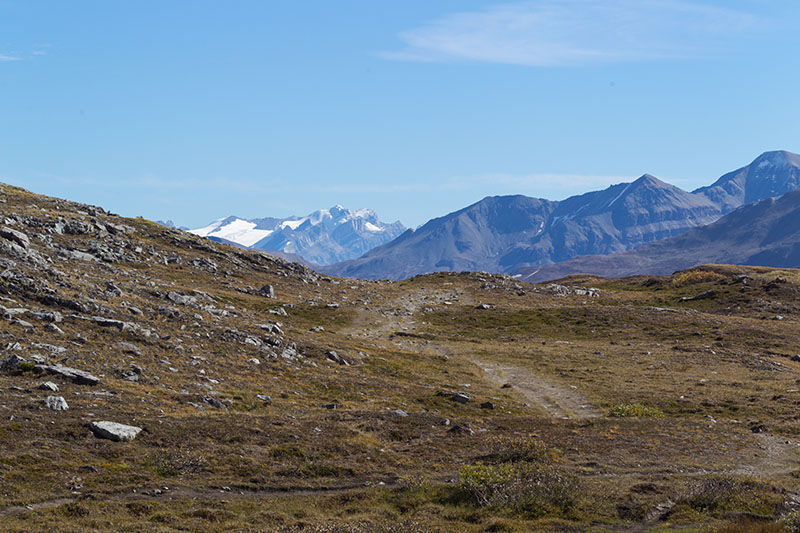 Auf dem R&uuml;ckweg