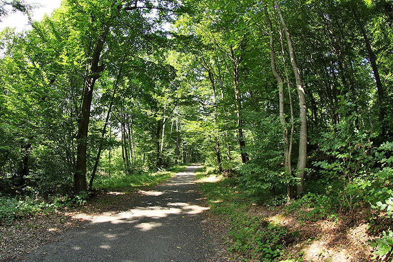Auf dem Albtalradweg