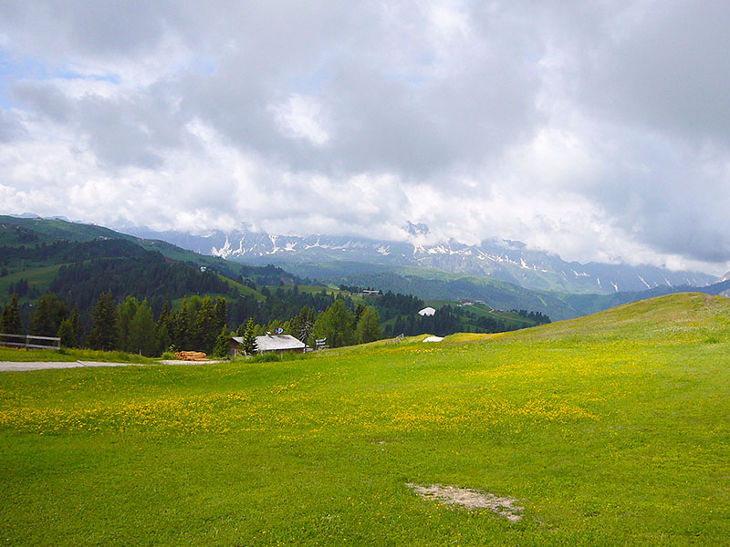 Wie Teppiche liegen die Wiesen vor den Bergen