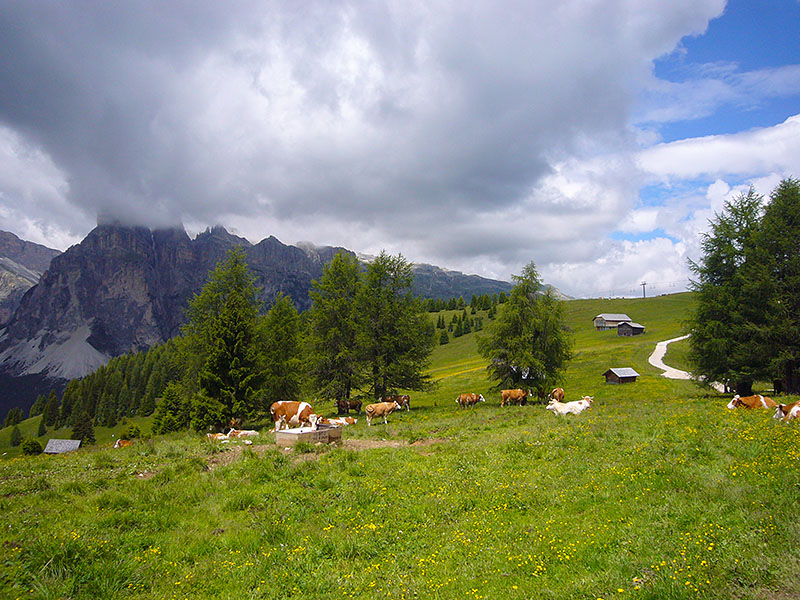 Auf dem R&uuml;ckweg